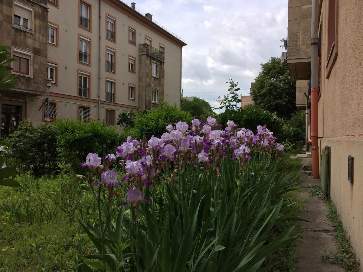 Irisz Apartman Budapest Ngoại thất bức ảnh